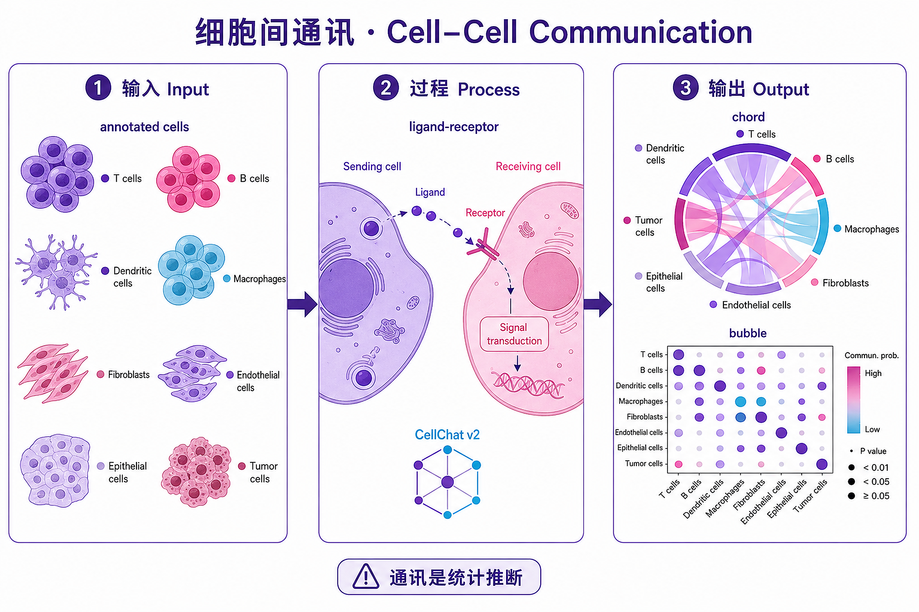 Cellchat Spatial 主题 · BioSkill Map